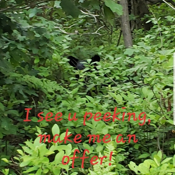 Meet your Posher, Soni Posh Ambassador - Picture 7 of 8